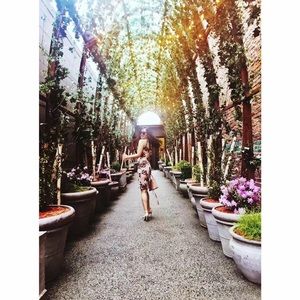 Bodycon flower print powder pink dress